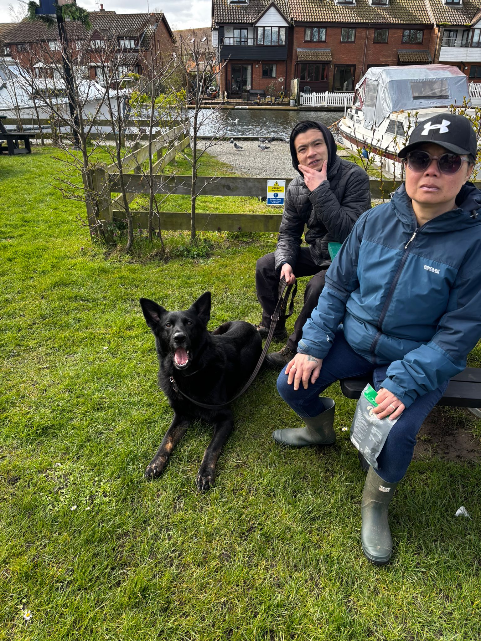 Dog Photos
