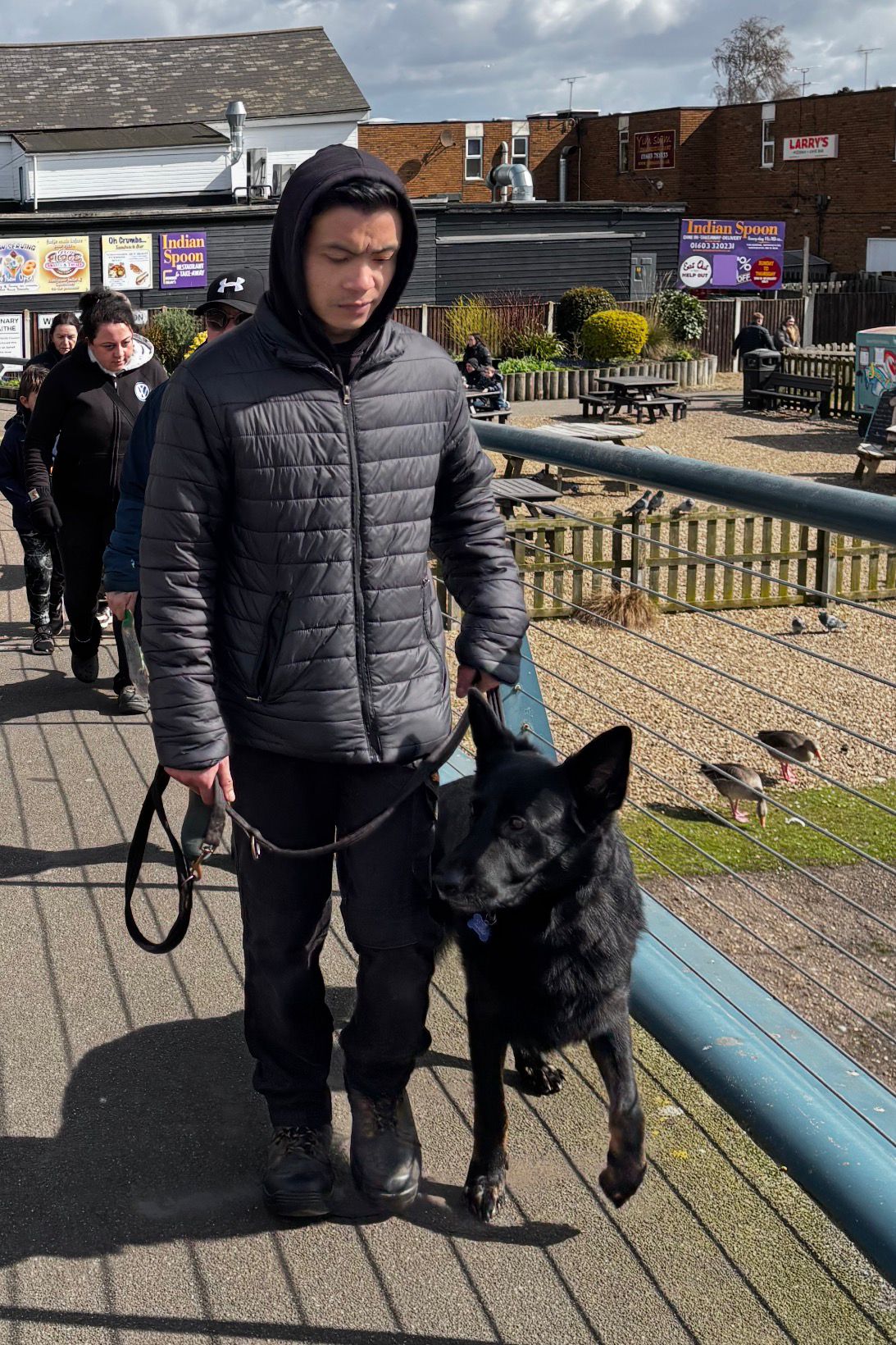 Dog Photos